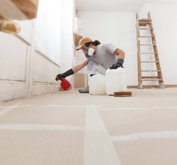 Best Post-Remediation Verification Testing  in West Slope, OR